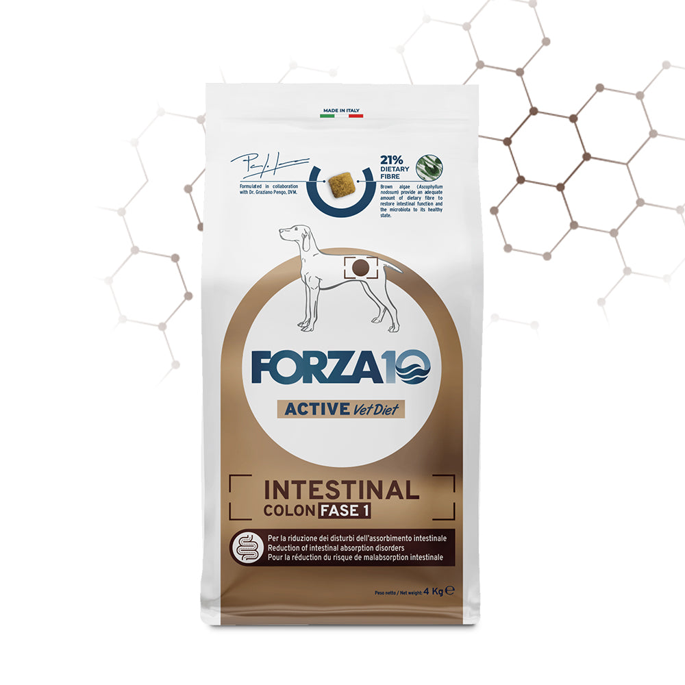FORZA 10 ACTIVE VETDIET INTESTINAL FASE 1 COLON ADULT 4 KG CON PESCE