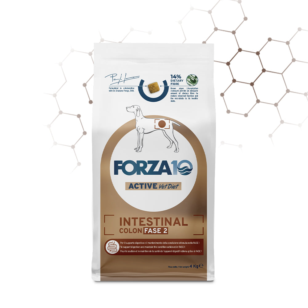 FORZA 10 ACTIVE VETDIET INTESTINAL COLON FASE 2 10 KG CON PESCE