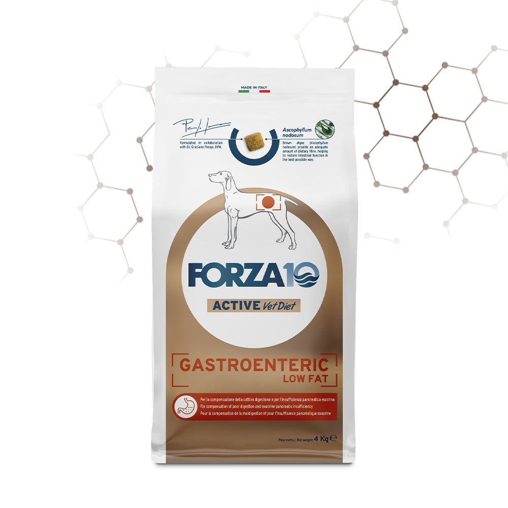 FORZA 10 ACTIVE VETDIET GASTROENTERIC LOW FAT 10 KG DOG ADULT CON PESCE