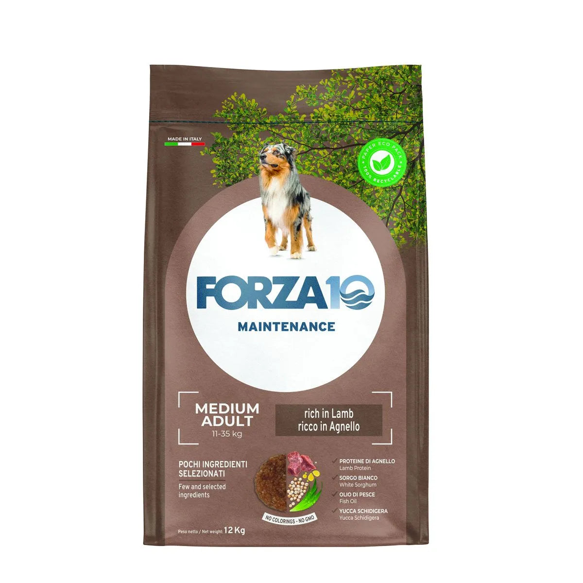 FORZA 10 MANTENIMENTO MEDIUM ADULT CON AGNELLO 12 KG