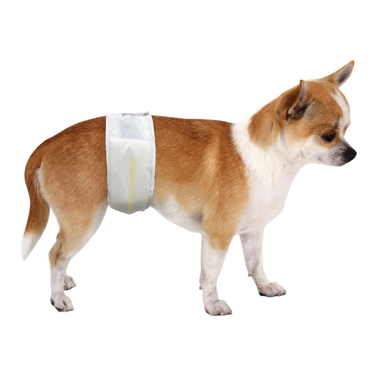 FASCE DIAPERS PANNOLINI A FASCE PER CANI MASCHI MISURA M 10 PZ.