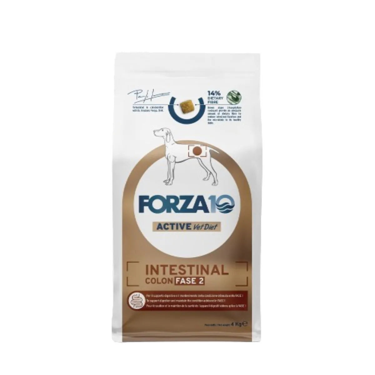 FORZA 10 ACTIVE VIEDIET INTESTINAL COLON FASE 2 CON AGNELLO E SORGO 10 KG.