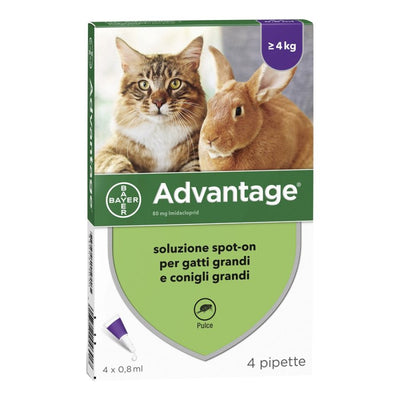 ADVAVANTAGE SPOT-ON ANTIPULCI PER GATTI GRANDI E CONIGLI GRANDI DI PESO PARI 0 SUPERIORE A 4 KG CONF.4 PIPETTE DA 0,8 ML CAD 32,00.