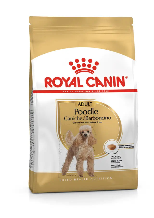 ROYAL POODLE  BARBONCINO 500 GR.