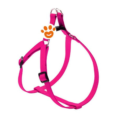 CAMON PETTORINA N 2 DR MM 18 ROSA FLUO