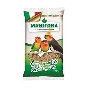 MANGIME INSEPARABILI MANITOBA KG 1