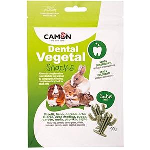 CAMON SNACK CACTUS H315