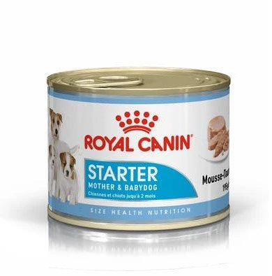 ROYAL CANIN STARTER MOUSSE  CANE 195 GR.