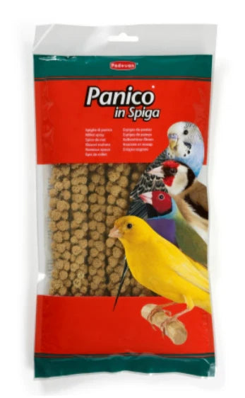Padovan Panico in Spiga – Snack Naturale per Uccelli da Gabbia