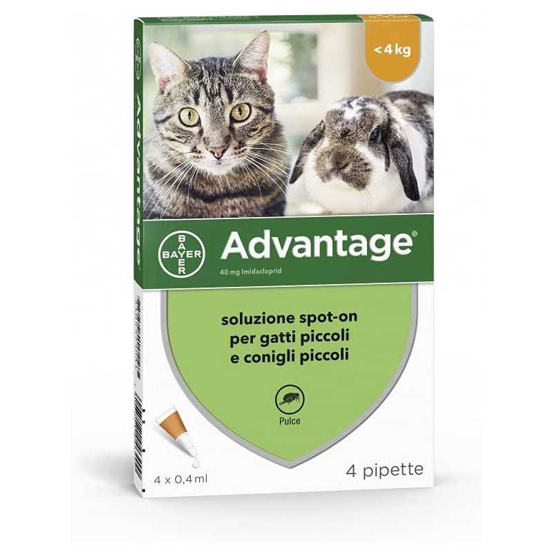ADVANTAGE SPOT-ON ANTIPULCI PER GATTI PICCOLI E CONIGLI PICCOLI DI PESO INFERIORE A 4 KG CONF. 4 PIPETTE  DA 0,4 ML  32,00.