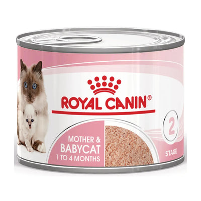 ROYAL CANIN MOTHER BABYCAT  195 GR.