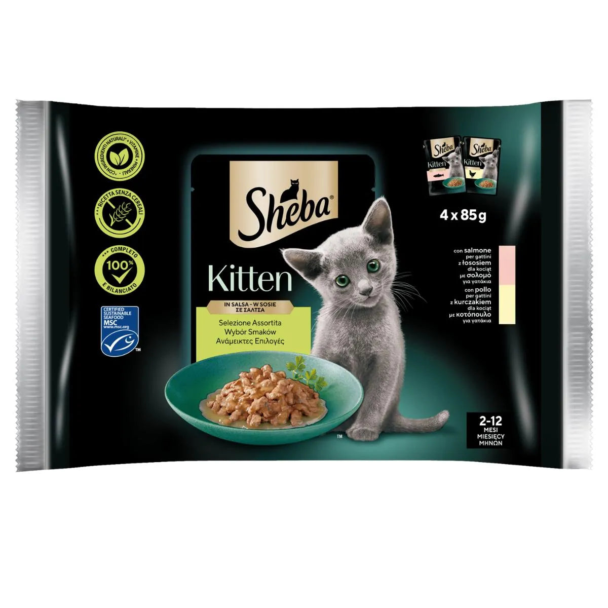 SHEBA SELEZIONE ASSORTITA KITTEN CON SALMONE E POLLO  IN SALSA 4 X 85 GR