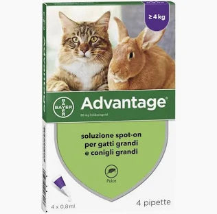 advantage gatto a 4 pipette 30,80 2025